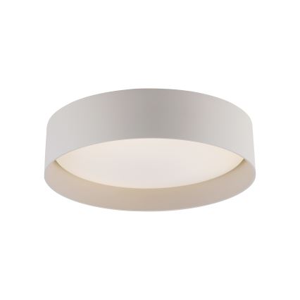 Schöner Wohnen 14593-39 - TAVOLI LED-himmennettävä kattovalaisin LED/10W/230V 2700-6500K halkaisija 28,5 cm, harmaa + kaukosäädin