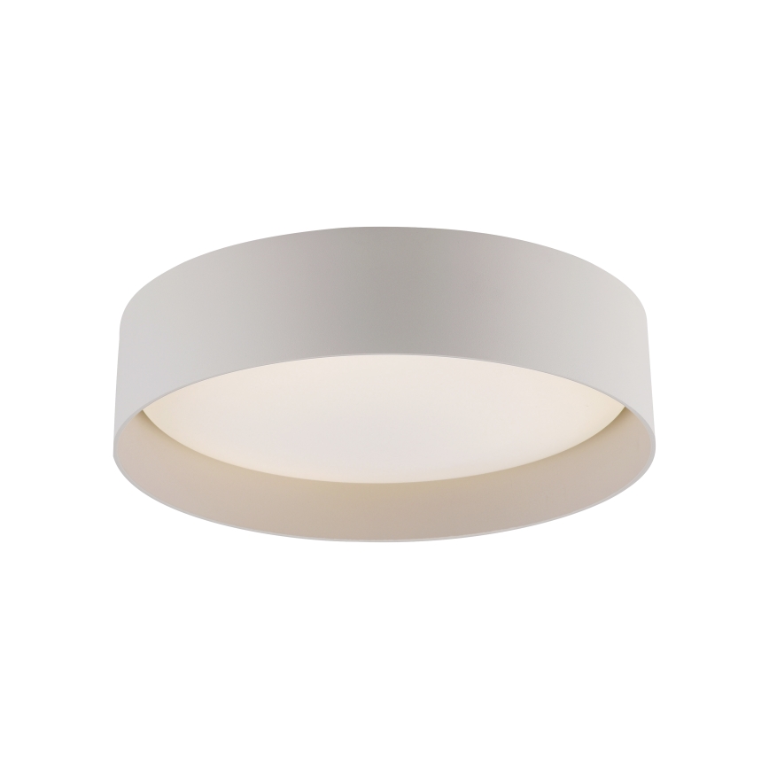 Schöner Wohnen 14593-39 - TAVOLI LED-himmennettävä kattovalaisin LED/10W/230V 2700-6500K halkaisija 28,5 cm, harmaa + kaukosäädin