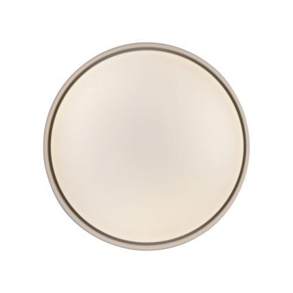 Schöner Wohnen 14593-39 - TAVOLI LED-himmennettävä kattovalaisin LED/10W/230V 2700-6500K halkaisija 28,5 cm, harmaa + kaukosäädin