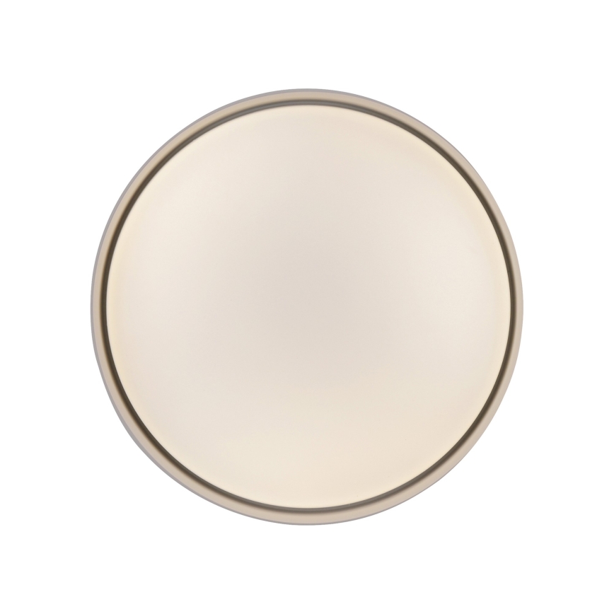 Schöner Wohnen 14593-39 - TAVOLI LED-himmennettävä kattovalaisin LED/10W/230V 2700-6500K halkaisija 28,5 cm, harmaa + kaukosäädin