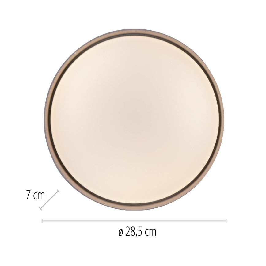 Schöner Wohnen 14593-39 - TAVOLI LED-himmennettävä kattovalaisin LED/10W/230V 2700-6500K halkaisija 28,5 cm, harmaa + kaukosäädin