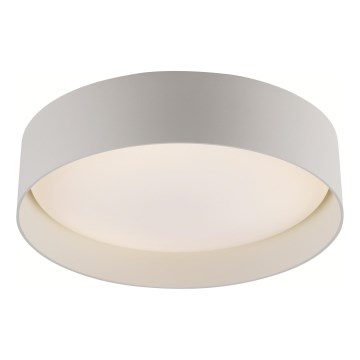 Schöner Wohnen 14593-39 - TAVOLI LED-himmennettävä kattovalaisin LED/10W/230V 2700-6500K halkaisija 28,5 cm, harmaa + kaukosäädin