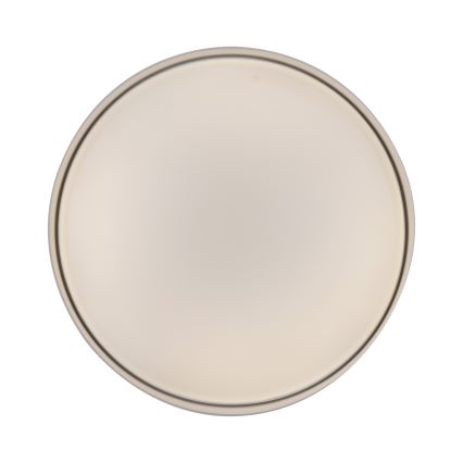 Schöner Wohnen 14594-39 - himennettävä LED-kattovalaisin TAVOLI LED/20W/230V 2700-6500K halkaisija 39 cm harmaa + kaukosäädin