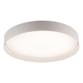Schöner Wohnen 14595-39 - himmennettävä LED-kattovalaisin TAVOLI LED/34W/230V 2700-6500K halkaisija 49 cm harmaa + kaukosäädin