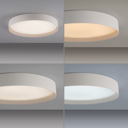 Schöner Wohnen 14595-39 - himmennettävä LED-kattovalaisin TAVOLI LED/34W/230V 2700-6500K halkaisija 49 cm harmaa + kaukosäädin