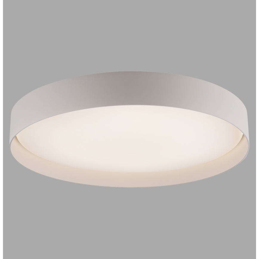 Schöner Wohnen 14595-39 - himmennettävä LED-kattovalaisin TAVOLI LED/34W/230V 2700-6500K halkaisija 49 cm harmaa + kaukosäädin
