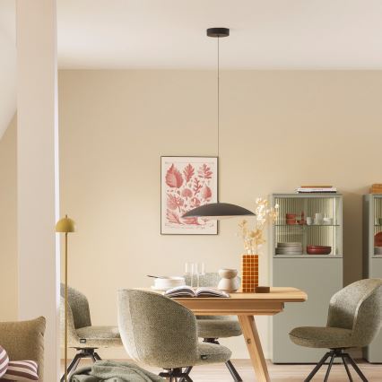 Schöner Wohnen 14606-18 - himmennettävä LED-riippuvalaisin vaijerilla LENTE LED/17W/230V Ø 40 cm musta