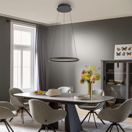 Schöner Wohnen 15570-18 - LED-himmennettävä vaijerilla roikkuva riippuvalaisin QUILLO LED/36W/230V halkaisija 60 cm musta