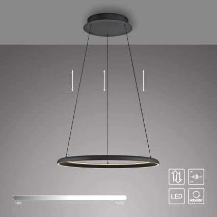 Schöner Wohnen 15570-18 - LED-himmennettävä vaijerilla roikkuva riippuvalaisin QUILLO LED/36W/230V halkaisija 60 cm musta