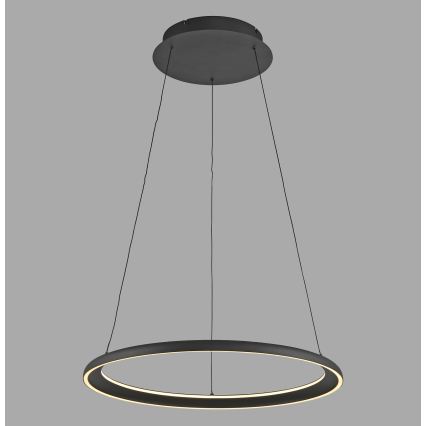 Schöner Wohnen 15570-18 - LED-himmennettävä vaijerilla roikkuva riippuvalaisin QUILLO LED/36W/230V halkaisija 60 cm musta
