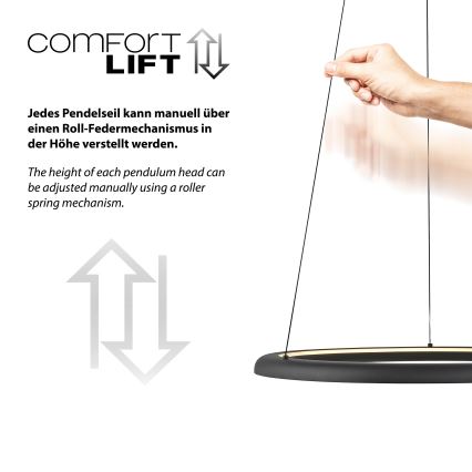 Schöner Wohnen 15570-18 - LED-himmennettävä vaijerilla roikkuva riippuvalaisin QUILLO LED/36W/230V halkaisija 60 cm musta