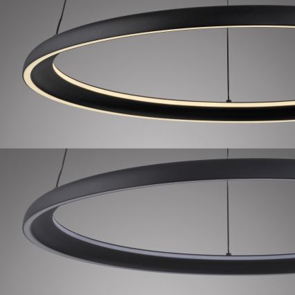 Schöner Wohnen 15570-18 - LED-himmennettävä vaijerilla roikkuva riippuvalaisin QUILLO LED/36W/230V halkaisija 60 cm musta