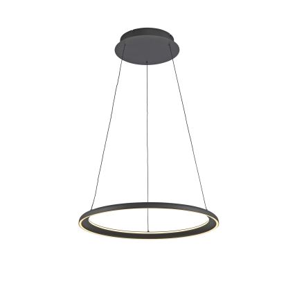 Schöner Wohnen 15570-18 - LED-himmennettävä vaijerilla roikkuva riippuvalaisin QUILLO LED/36W/230V halkaisija 60 cm musta