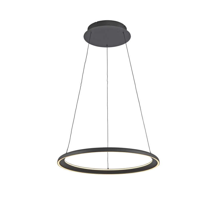Schöner Wohnen 15570-18 - LED-himmennettävä vaijerilla roikkuva riippuvalaisin QUILLO LED/36W/230V halkaisija 60 cm musta