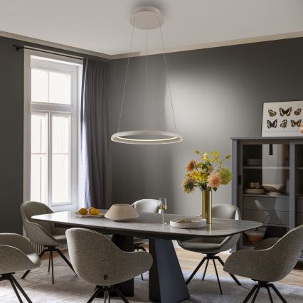 Schöner Wohnen 15570-39 - LED-himmennettävä riippuvalaisin kaapelilla QUILLO LED/36W/230V, halkaisija 60 cm, harmaa