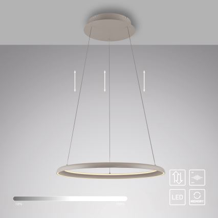 Schöner Wohnen 15570-39 - LED-himmennettävä riippuvalaisin kaapelilla QUILLO LED/36W/230V, halkaisija 60 cm, harmaa