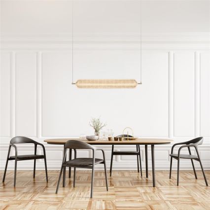 Searchlight - LED riippuvalaisin vaijerilla CAPSULE LED/42,5W/230V