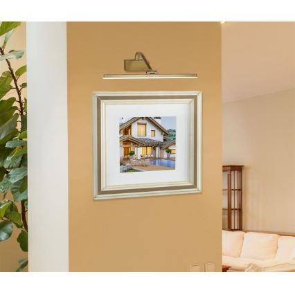 Searchlight - LED-kuvavalo LED/12W/230V kultainen