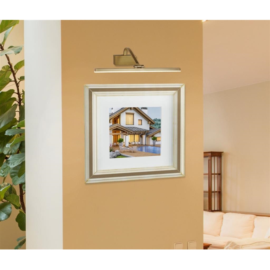 Searchlight - LED-kuvavalo LED/12W/230V kultainen