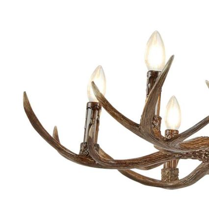 Searchlight - Kattokruunu ketjussa STAG 6xE14/7W/230V sarvet