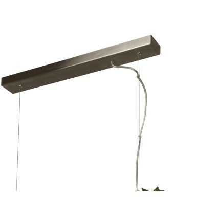 Searchlight - LED-kattokruunu johdossa ASH LED/20W/230V