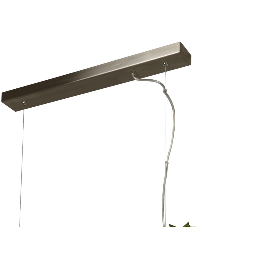 Searchlight - LED-kattokruunu johdossa ASH LED/20W/230V