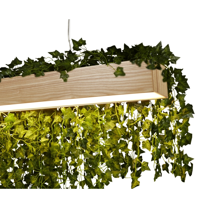 Searchlight - LED-kattokruunu johdossa ASH LED/20W/230V