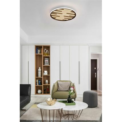 Searchlight - himmennettävä LED-kattovalaisin EQUALISE LED/33W/230V