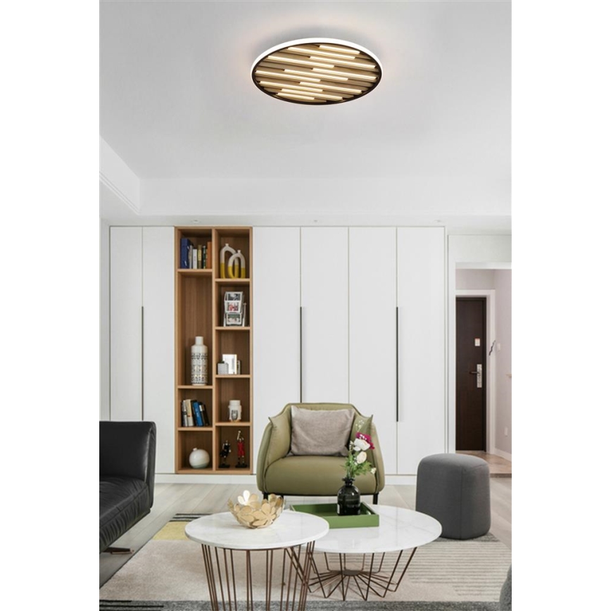 Searchlight - himmennettävä LED-kattovalaisin EQUALISE LED/33W/230V