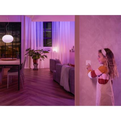 Seinäkatkaisinmoduuli Philips Hue SWITCH