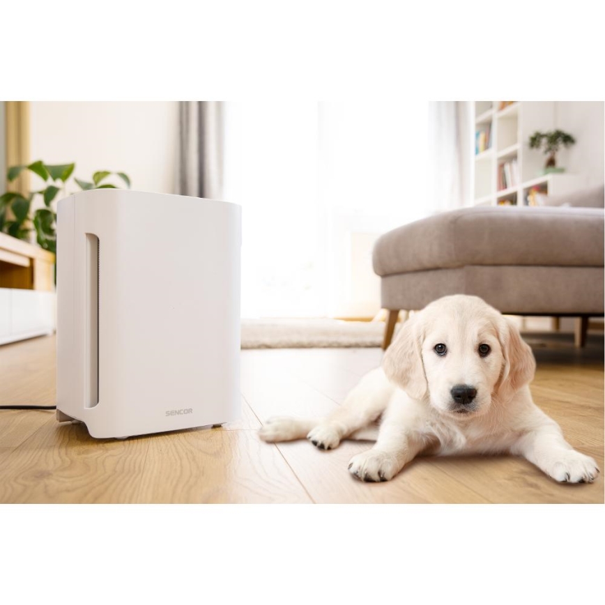 Sencor - Ilmanpuhdistin 60W/230V valkoinen