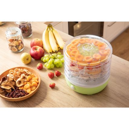 Sencor - Ruoankuivain 250W/230V