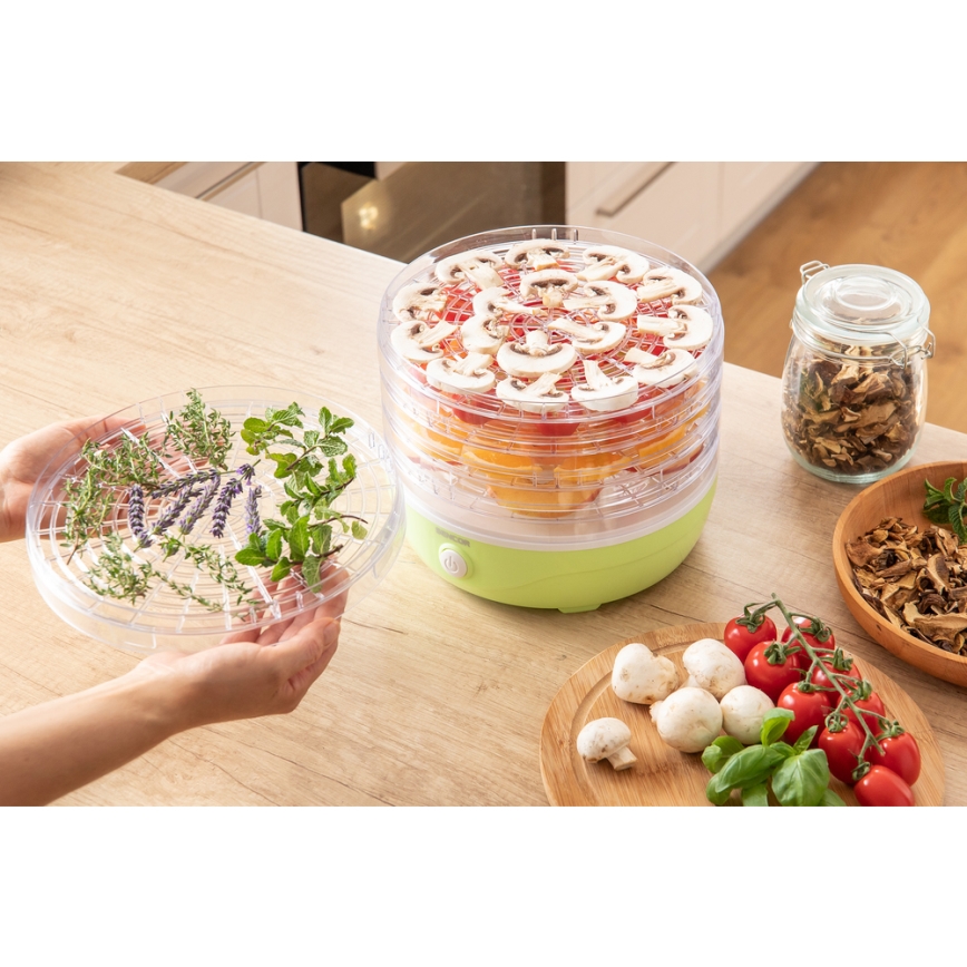 Sencor - Ruoankuivain 250W/230V