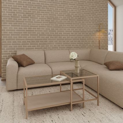 Setti 2 kpl SARON-sohvapöytiä 90x50 cm, harmaa/kirkas