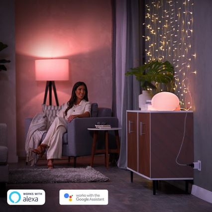 SETTI 2x Älykäs pistoke Philips Hue Smart plug