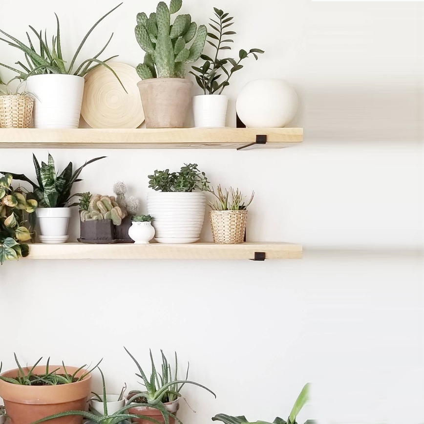 SETTI 2x Seinähylly 16x60 cm kuusi