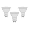 SETTI 3x LED-polttimo ECOLINE GU10/6W/230V 4000K - Brilagi