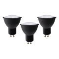 SETTI 3x LED-polttimo ECOLINE GU10/6W/230V 4000K musta - Brilagi