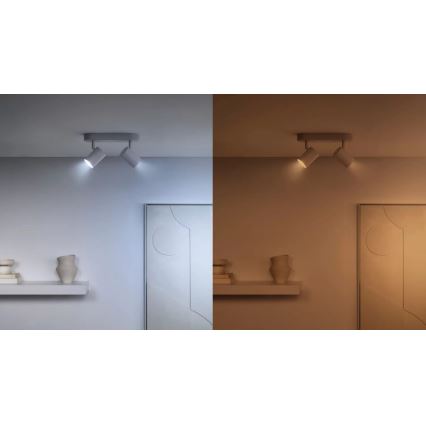 SETTI 3x LED RGBW Himmennettävä polttimo PAR16 GU10/4,7W/230V 2200-6500K Wi-Fi - WiZ