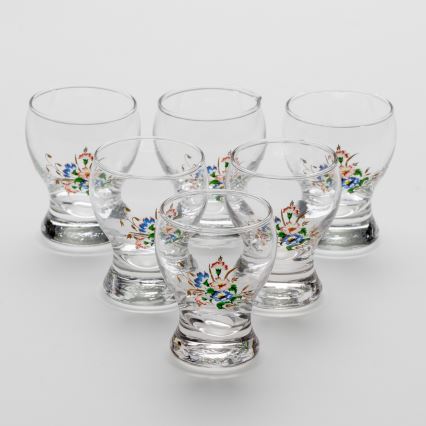 Setti 6x liköörilasi läpinäkyvä - kukkakuvio nro. 3
