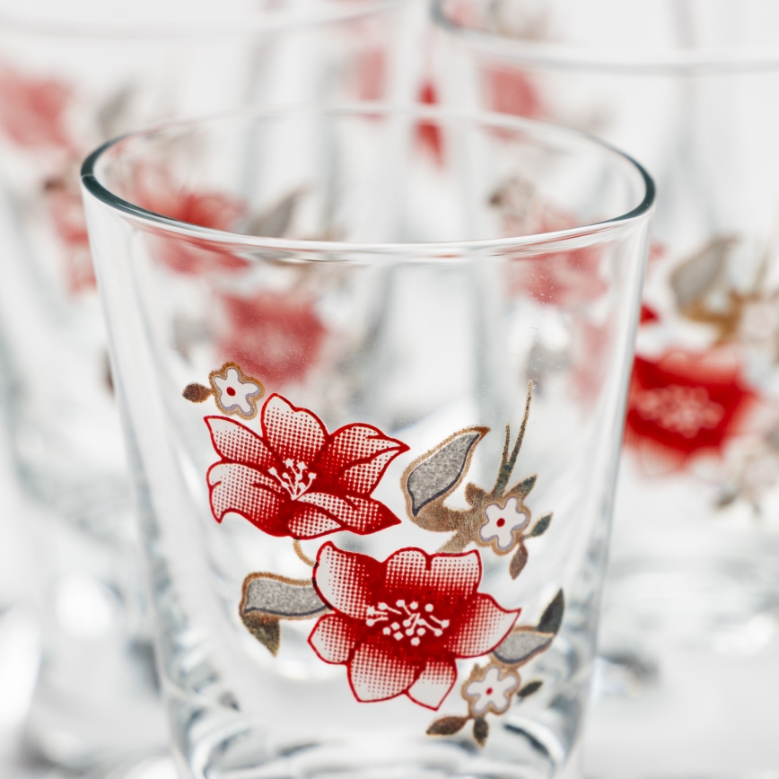 Setti 6x shottilasi läpinäkyvä kukka-aihe nro. 2