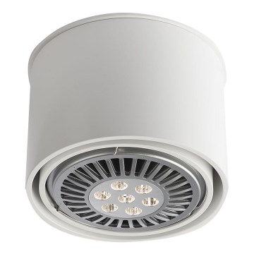 Shilo - Kohdevalo 1xGU10/15W/230V valkoinen