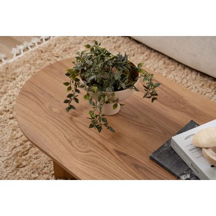 Sohvapöytä OVAL 60x120 cm ruskea