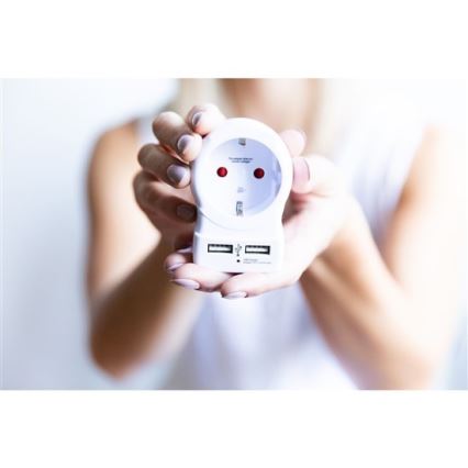 Solight PA29USB - Matkasovitin USA: n 230V + 2x USB-portti