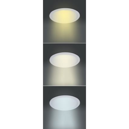 LED-uppovalaisin LED/24W/230V 3000/4000/6000K Ø 30 cm valkoinen
