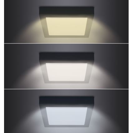 LED Kattovalo LED/24W/230V 3000/4000/6000K musta neliö