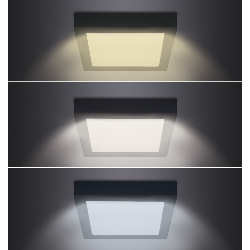 LED Kattovalo LED/24W/230V 3000/4000/6000K musta neliö