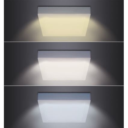 LED-kattovalaisin LED/24W/230V 3000/4000/6000K 30x30 cm valkoinen