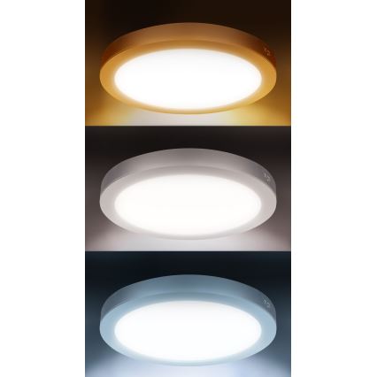LED pinta- tai uppoasennettava paneeli 2-in-1 24W/230V 3000/4000/6000K Ø 30 cm IP54 hopea