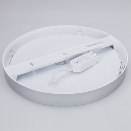 LED pinta- tai uppoasennettava paneeli 2-in-1 24W/230V 3000/4000/6000K Ø 30 cm IP54 hopea